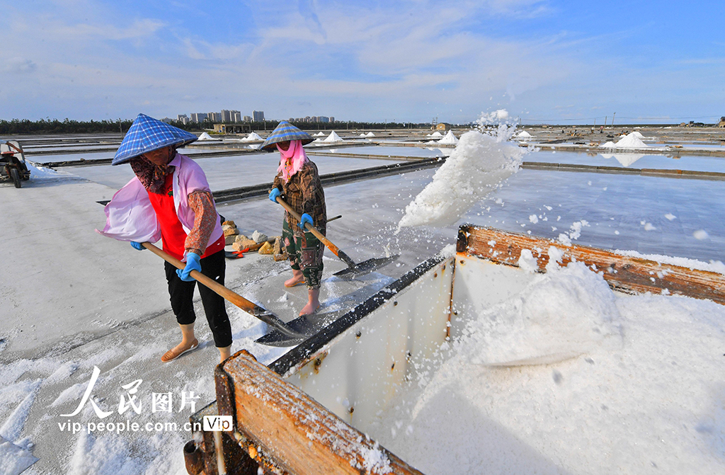 福建泉州:鹽場作業【6】