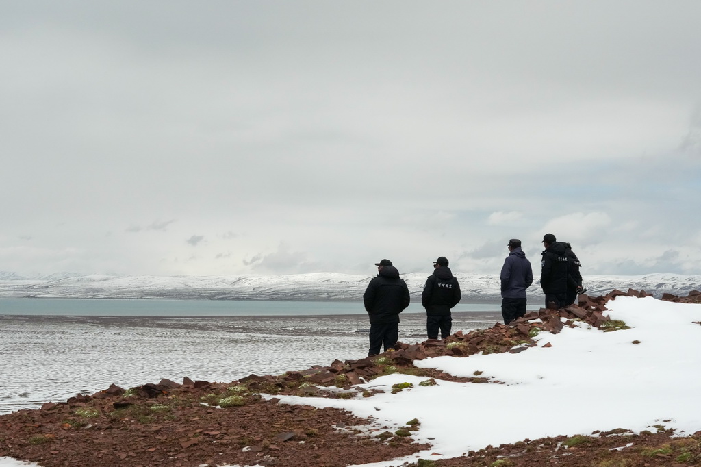 巡山隊員在可可西里卓乃湖附近巡護（7月3日攝）。