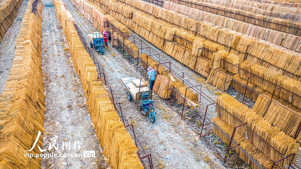 江蘇沭陽：晾曬板材【2】