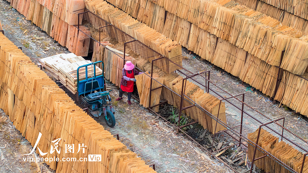 江蘇沭陽：晾曬板材【4】