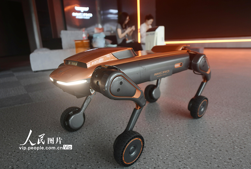 浙江杭州：國內首家“具身智能4S店”亮相【3】