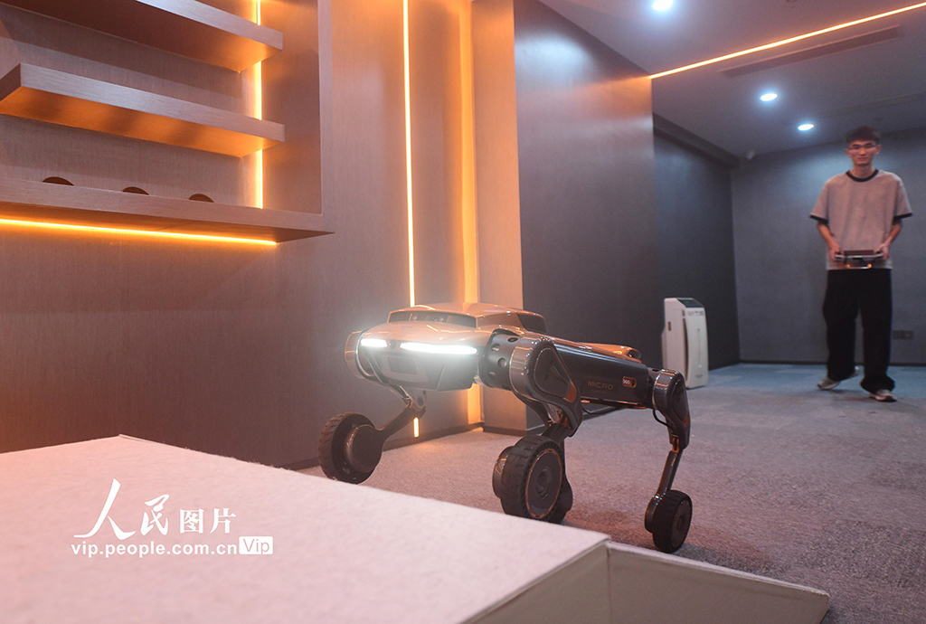 浙江杭州：國內首家“具身智能4S店”亮相【4】