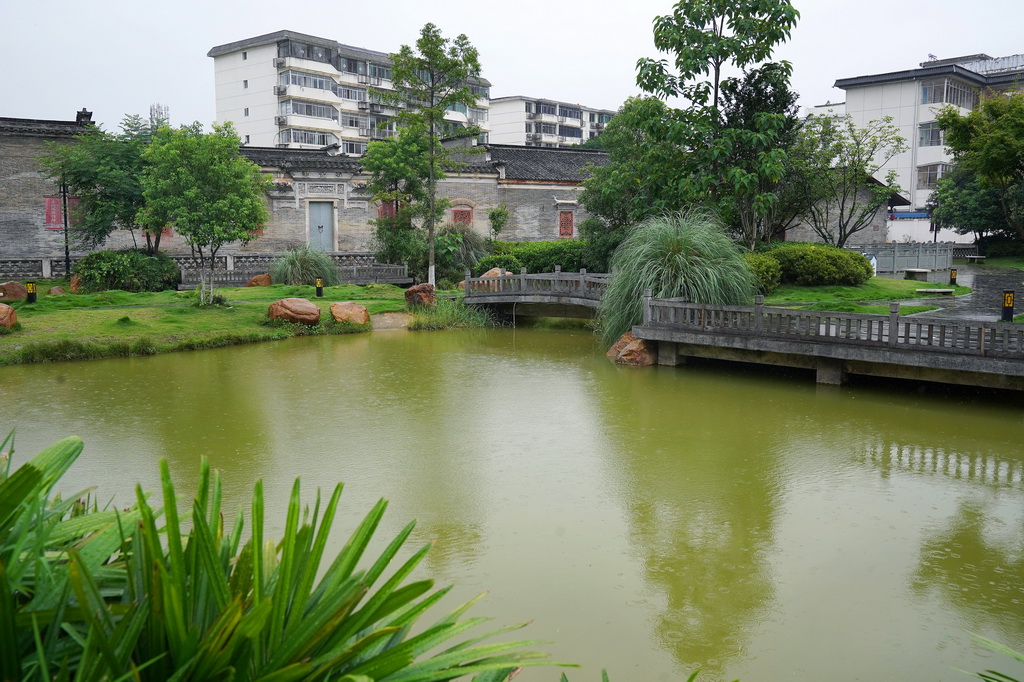 這是位于贛州古城的一處清水塘（6月18日攝）。