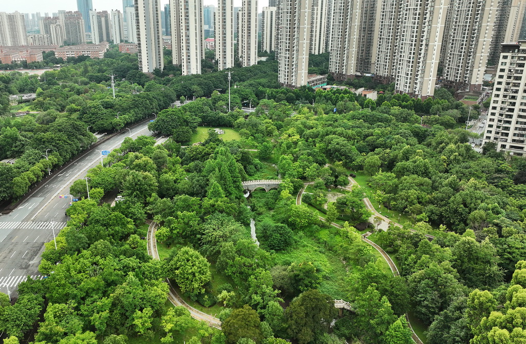 這是位于江西省贛州市章貢區的建春濕地公園（6月18日攝，無人機照片）。