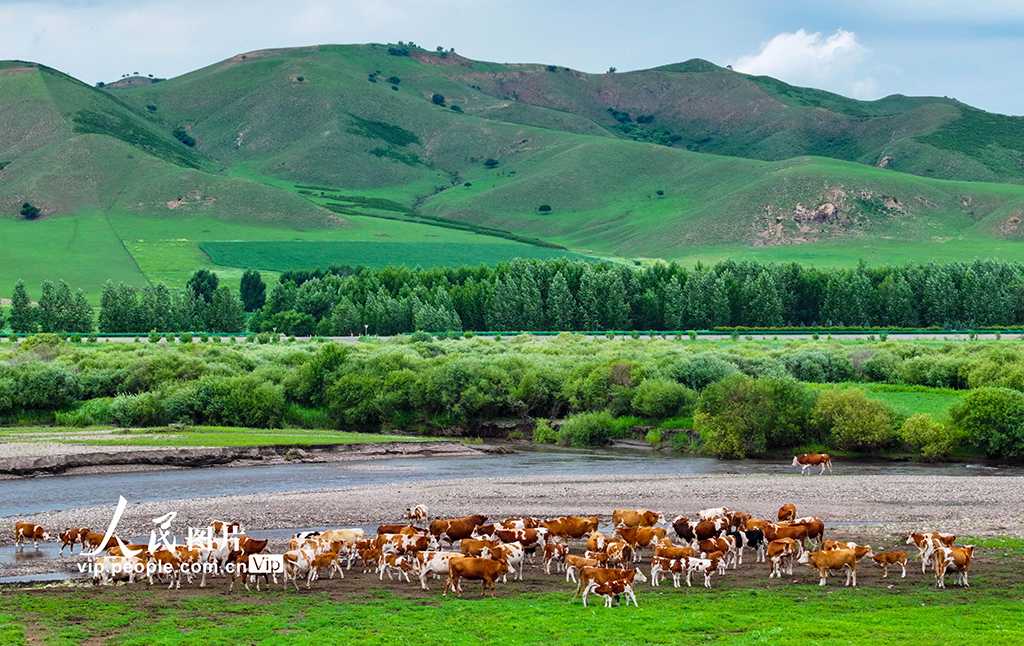 內蒙古興安盟：烏蘭毛都草原風景美【3】
