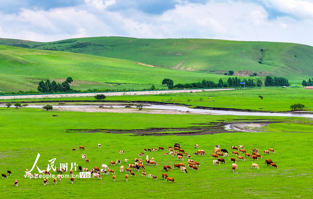 內蒙古興安盟：烏蘭毛都草原風景美【5】