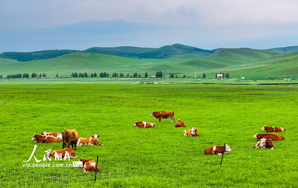 內蒙古興安盟：烏蘭毛都草原風景美【8】