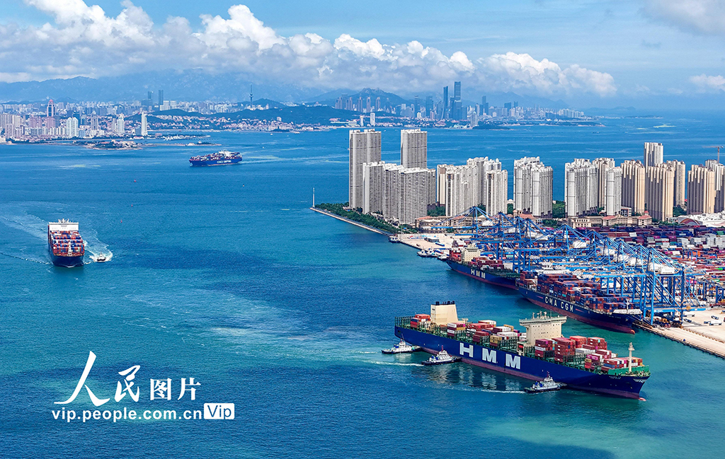 山東港口青島港2025年上半年新增航線11條【3】