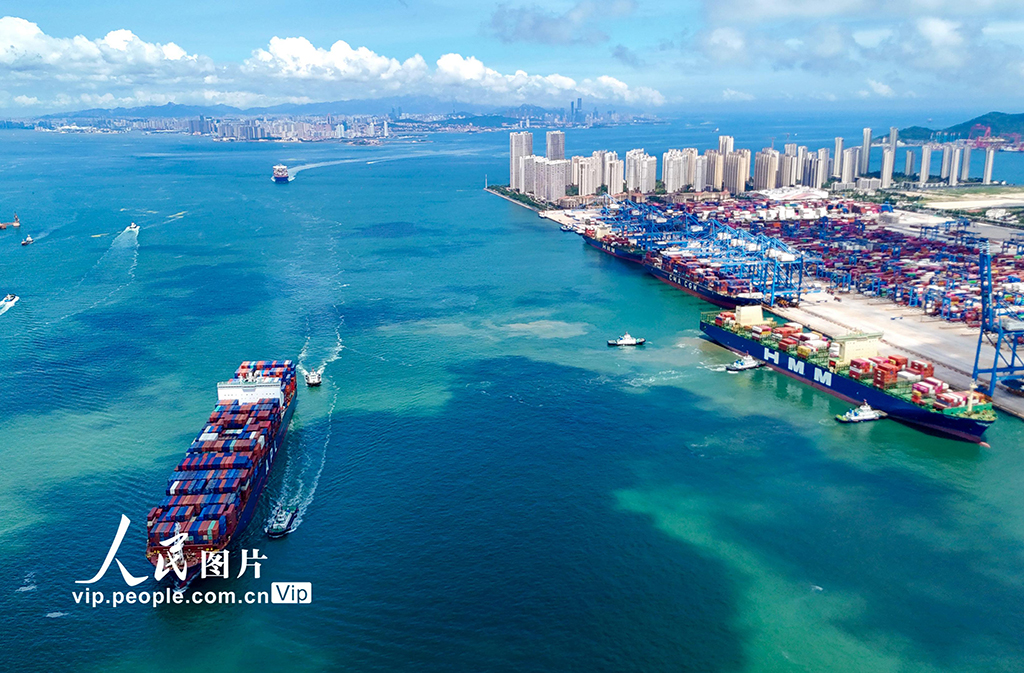 山東港口青島港2025年上半年新增航線11條【4】