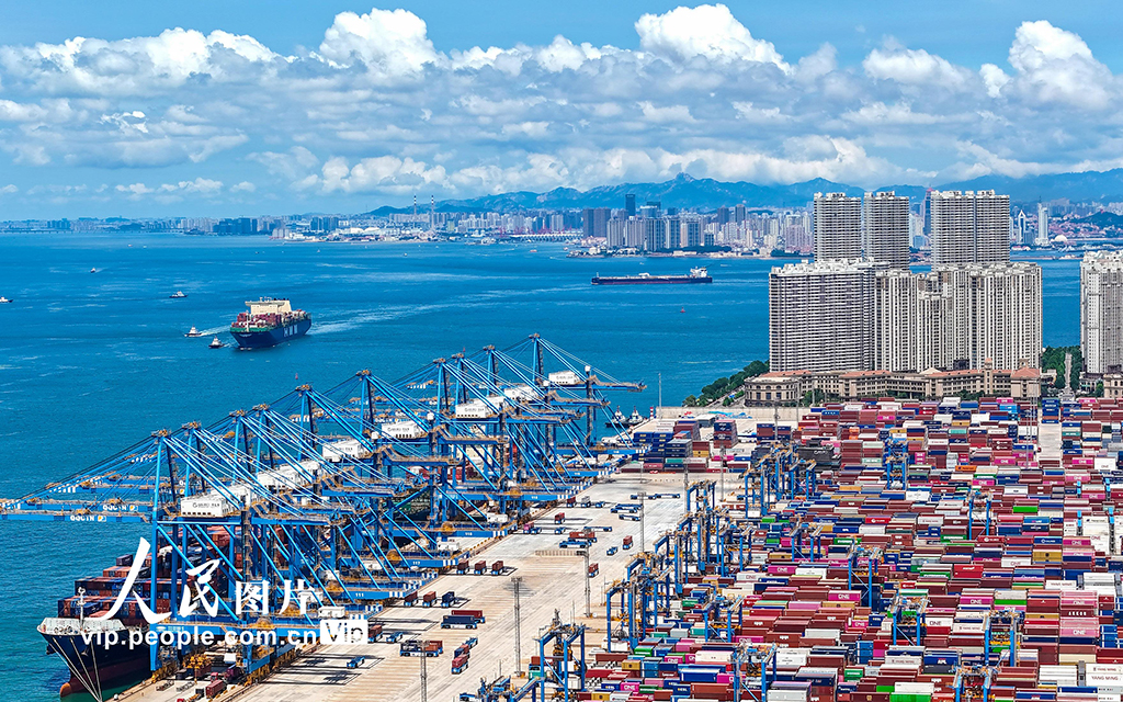 山東港口青島港2025年上半年新增航線11條【6】