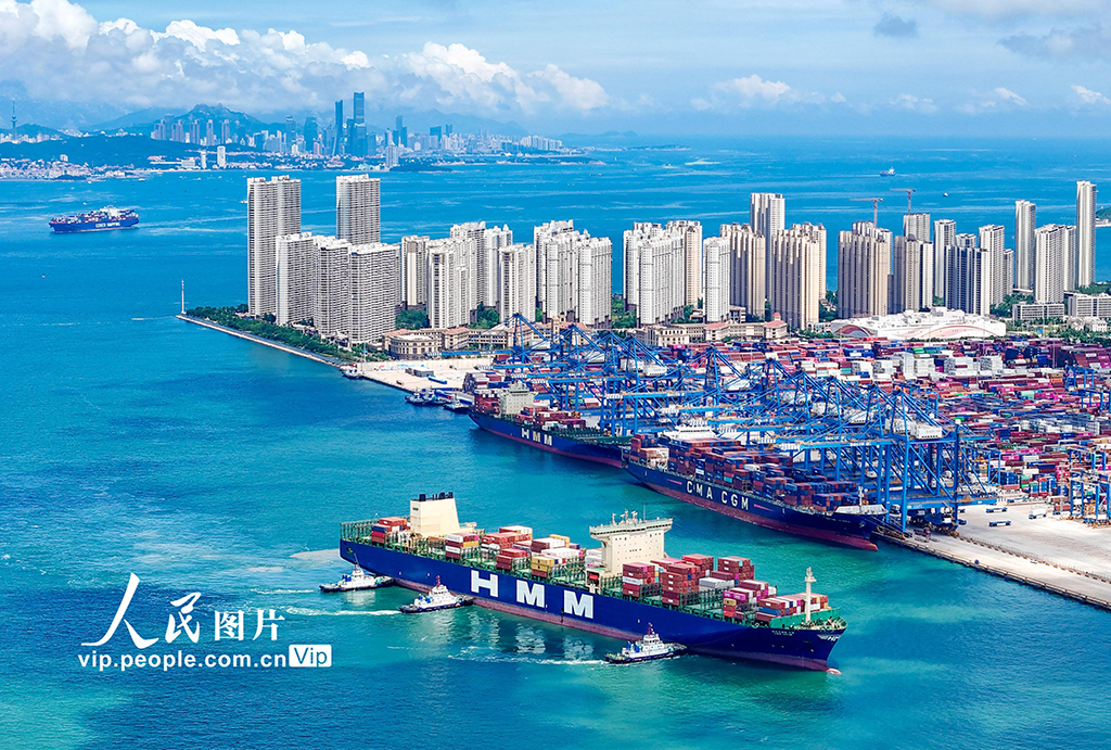 山東港口青島港2025年上半年新增航線11條