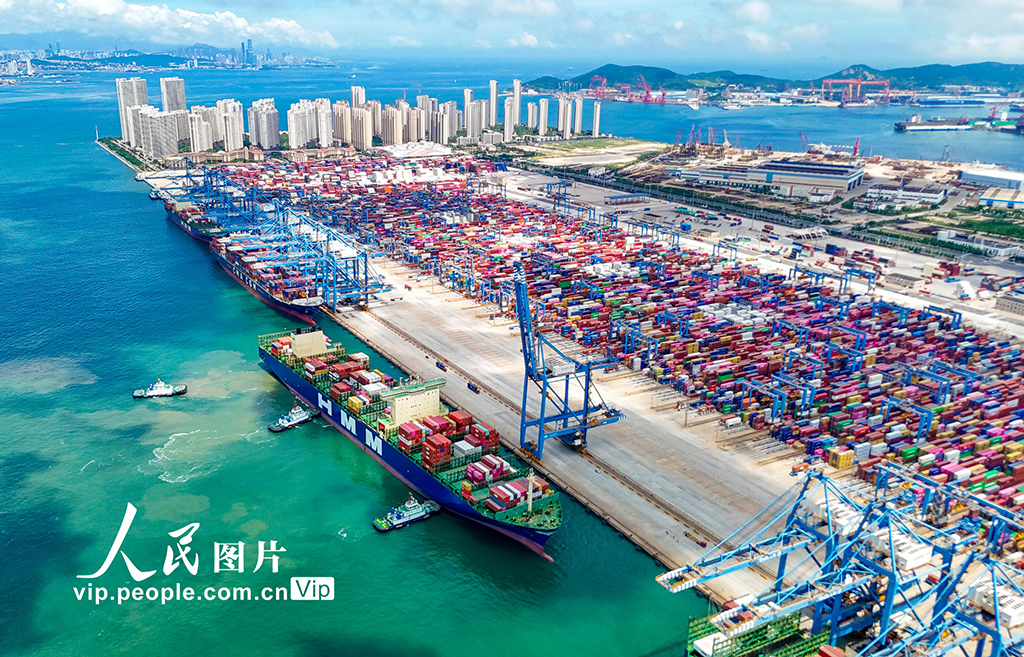 山東港口青島港2025年上半年新增航線11條【2】