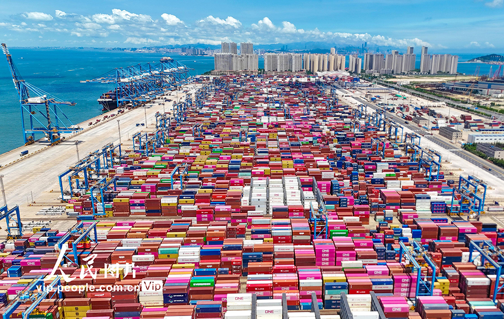 山東港口青島港2025年上半年新增航線11條【11】