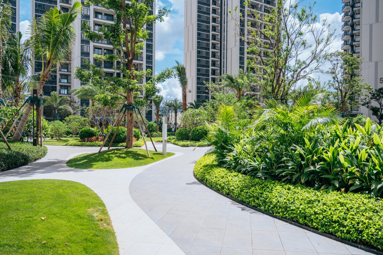 海南三亞保利棲山雨茗安居房社區。邱活攝