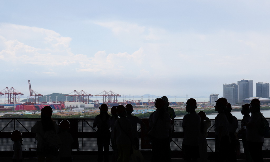 7月8日，“小候鳥”家庭在前海博物館項目建設現場眺望前海灣。