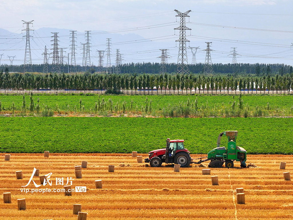 麥秸回收 環保增收【2】