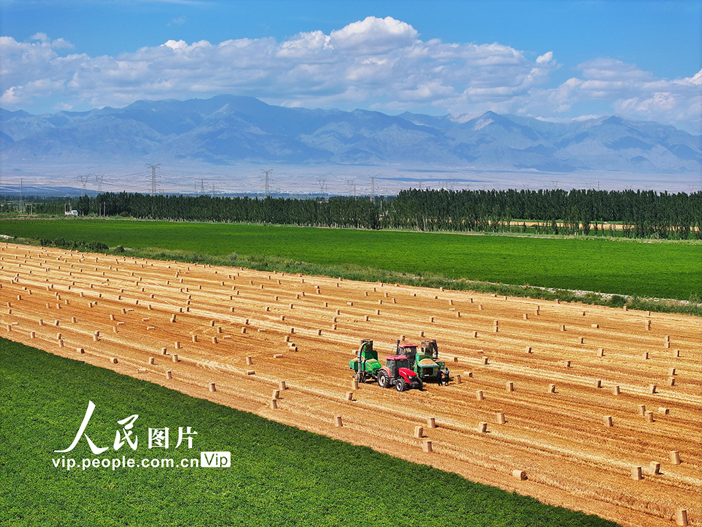 麥秸回收 環保增收【3】