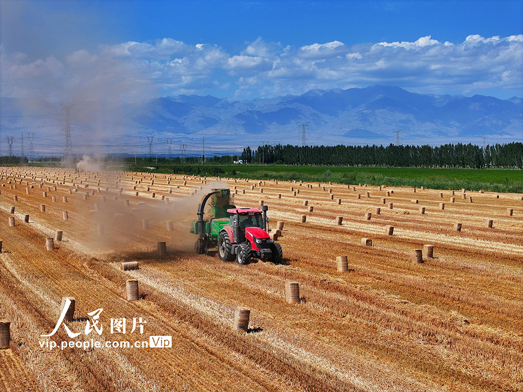 麥秸回收 環保增收【5】