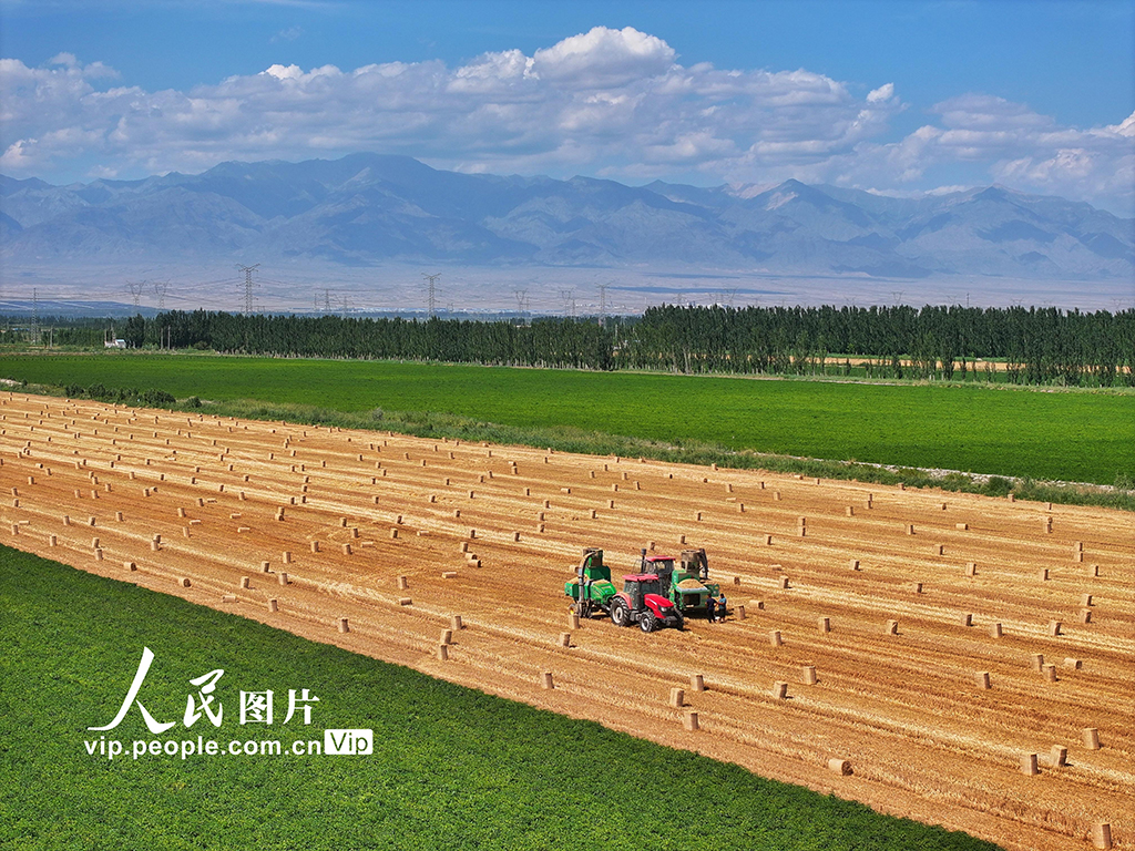 麥秸回收 環保增收【6】