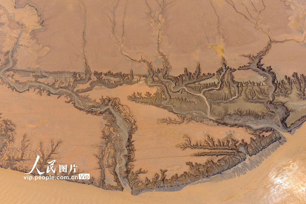 河南濟源：黃河小浪底庫區河床現美麗“沙畫”長卷【2】