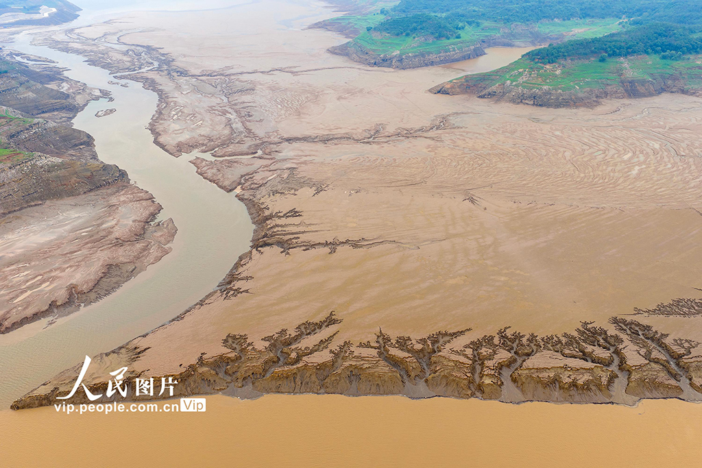 河南濟源：黃河小浪底庫區河床現美麗“沙畫”長卷【3】