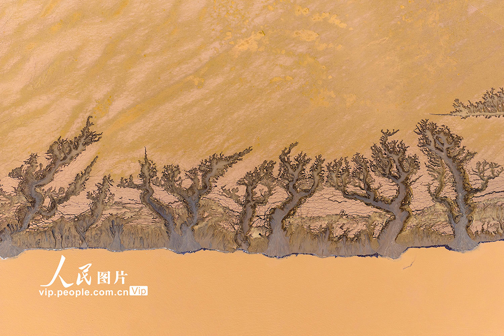 河南濟源：黃河小浪底庫區河床現美麗“沙畫”長卷【4】