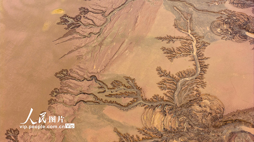 河南濟源：黃河小浪底庫區河床現美麗“沙畫”長卷【5】