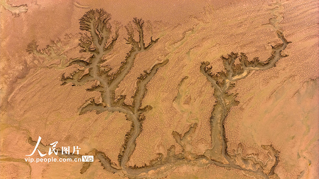 河南濟源：黃河小浪底庫區河床現美麗“沙畫”長卷【6】