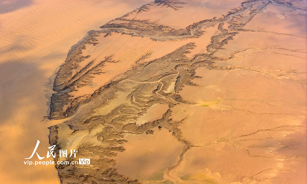 河南濟源：黃河小浪底庫區河床現美麗“沙畫”長卷【7】