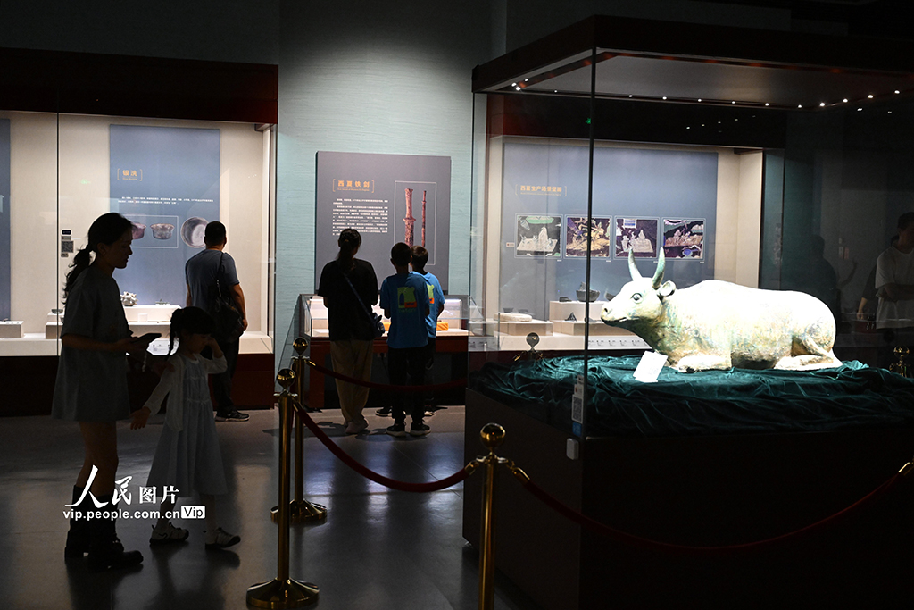 寧夏銀川：博物館迎來參觀熱【2】