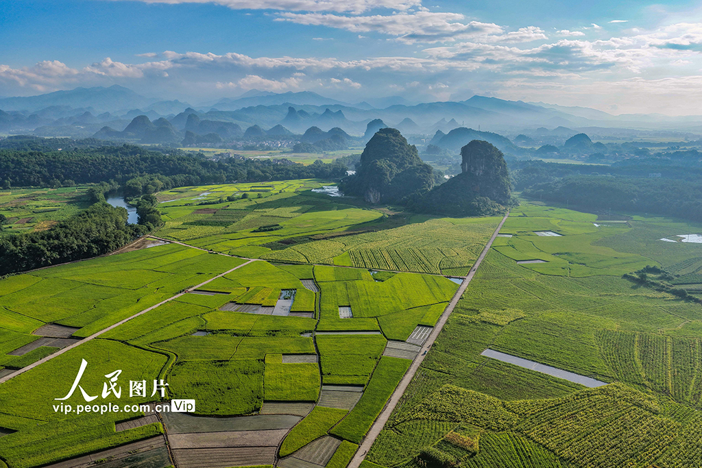 湖南道縣:田園畫卷【2】