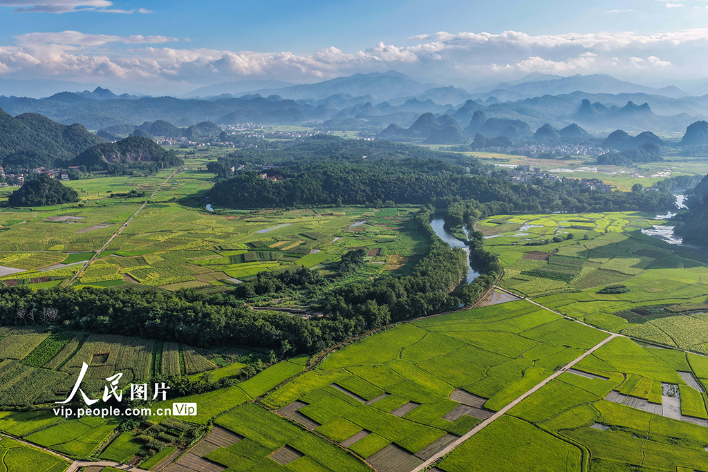湖南道縣:田園畫卷【3】
