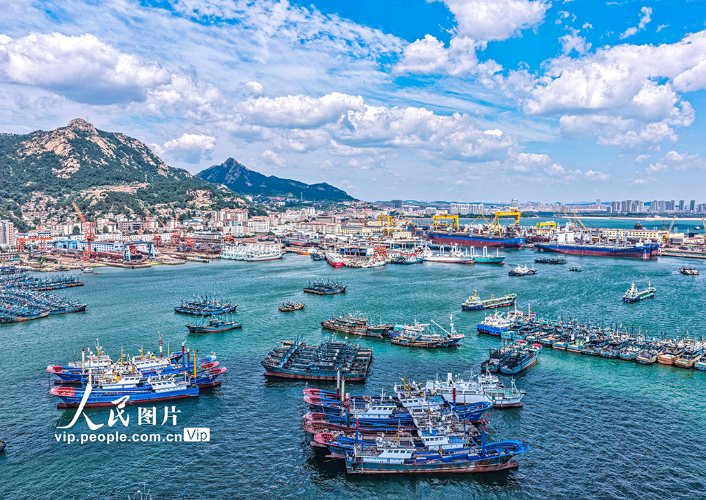 山東榮成:修造船產業助推海洋經濟高質量發展【6】