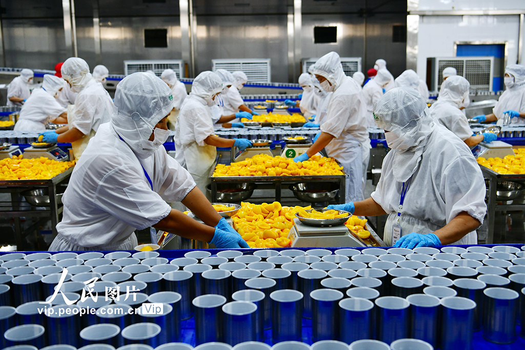 湖北秭歸:黃桃深加工助農增收【2】