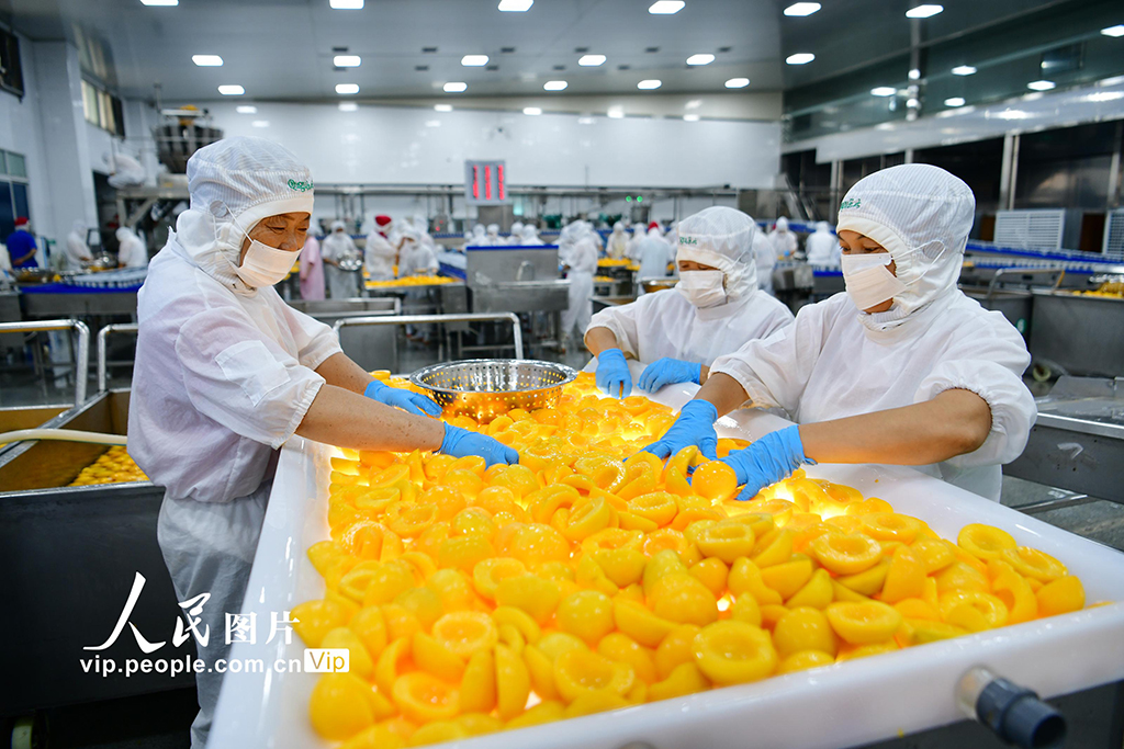 湖北秭歸:黃桃深加工助農增收【3】