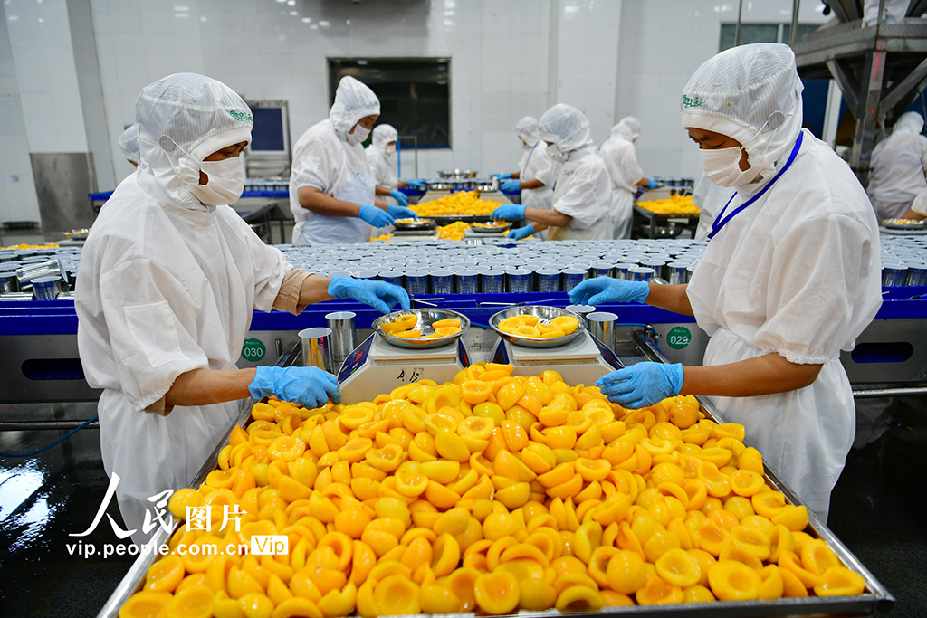 湖北秭歸:黃桃深加工助農增收【4】