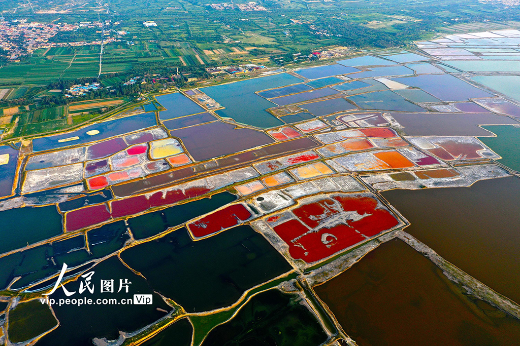 山西運城：夏日鹽湖色彩斑斕【2】