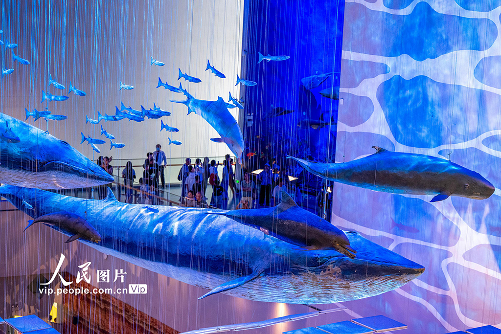 廣東廣州:暑假樂游博物館【3】