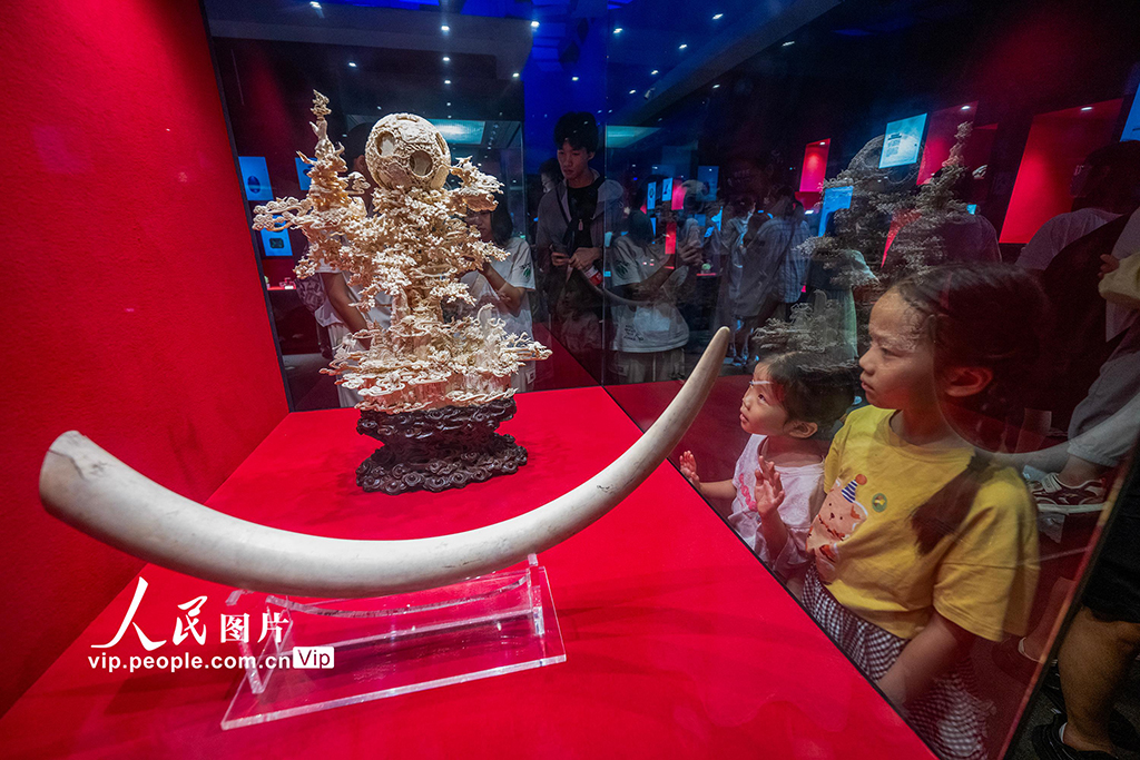 廣東廣州：暑假樂游博物館