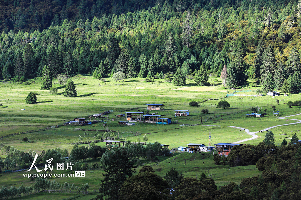 西藏林芝：魯朗小鎮風光美