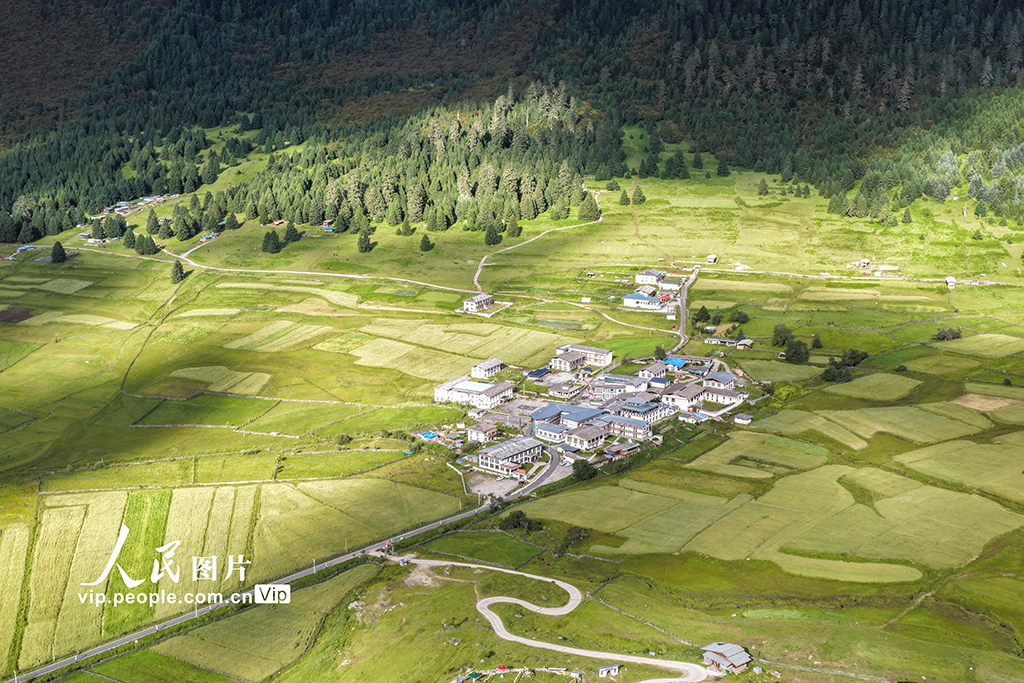 西藏林芝:魯朗小鎮風光美【3】