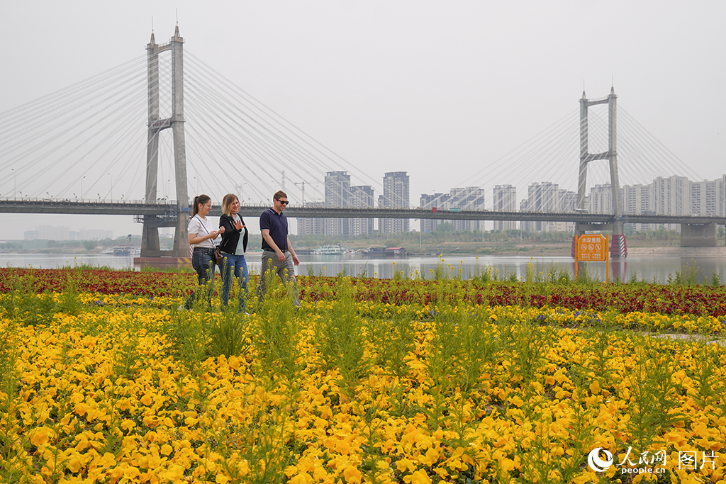 2025年4月14日，外國游客打卡安徽蚌埠“靚淮河”。人民網記者 陳若天攝