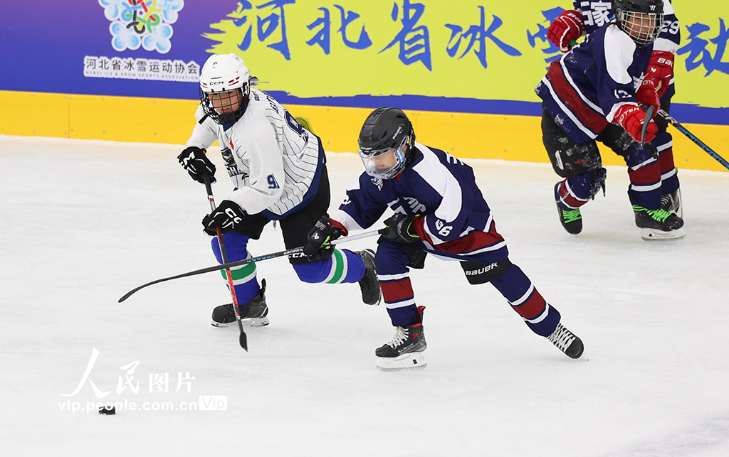 河北石家莊:冰球少年 馳騁冰場【3】
