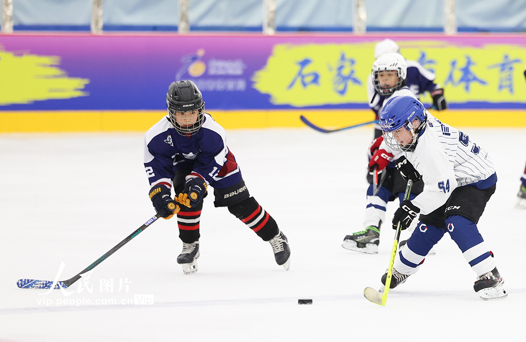 河北石家莊:冰球少年 馳騁冰場【4】
