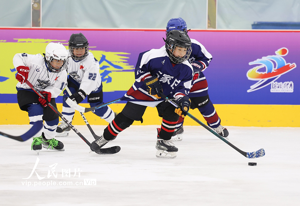 河北石家莊:冰球少年 馳騁冰場【5】