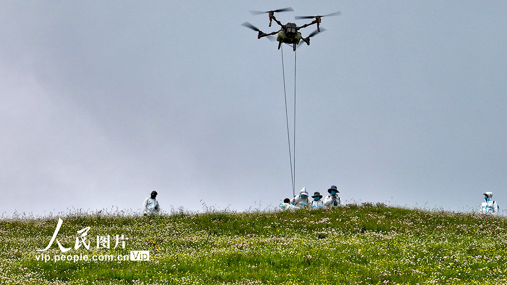 甘肅肅南:推進“三北”工程建設 筑牢生態安全屏障【3】