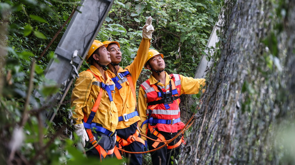 橋隧工人巡查被動網狀態（7月15日攝）。