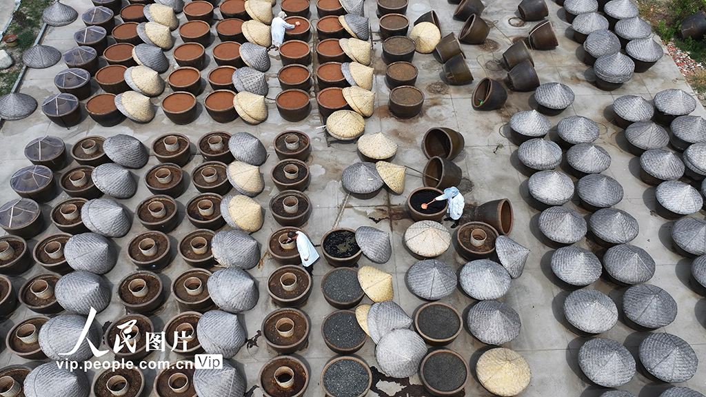 江蘇灌云:夏日曬醬【3】