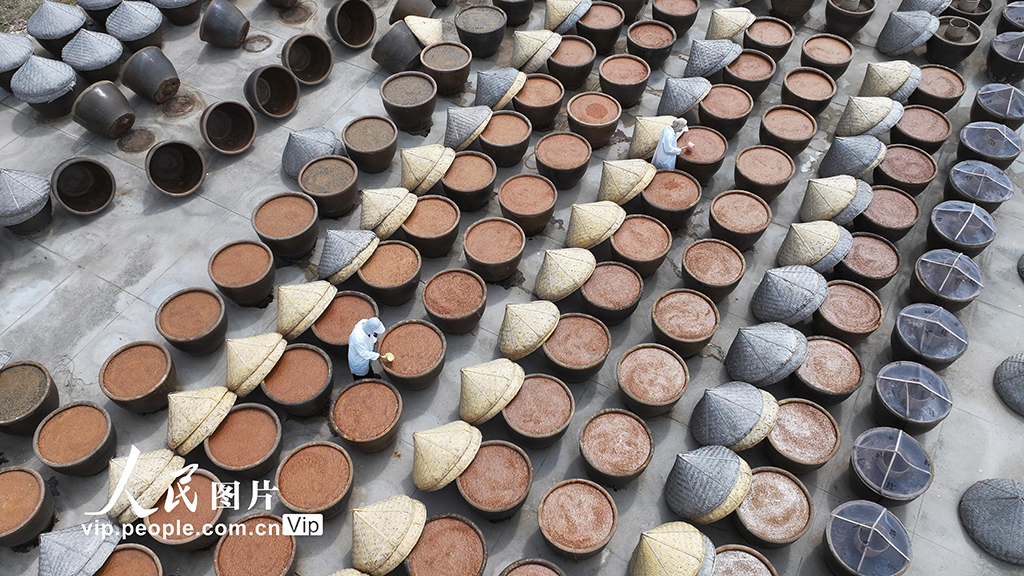 江蘇灌云:夏日曬醬【4】