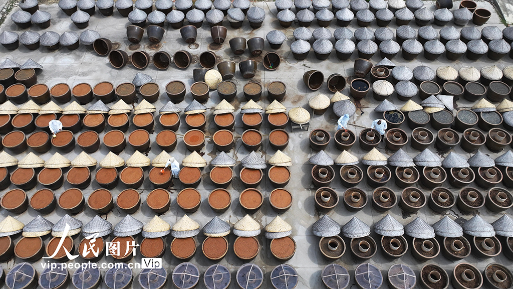 江蘇灌云:夏日曬醬【5】